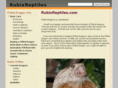 rubixreptiles.com