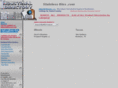 stainlessbins.com