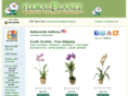 floralplanet.com