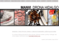 manvidronahidalgo.com