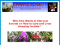 secretstoorchids.com