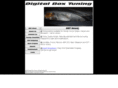 digitalboxtuning.com