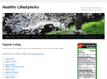 healthy-lifestyle-4u.com