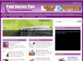 paidsurveydetails.com