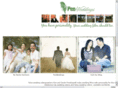 southernweddingfilm.com