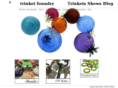 trinketfoundry.com