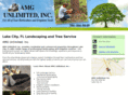 amgunlimitedinc.com