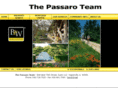 passaroteam.com