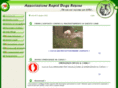 rapiddogsrescue.com