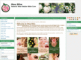 sheabliss.com