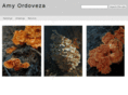 amykow.com