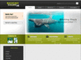 baskingshark.ie