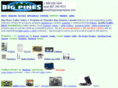 bigpinespropane.com