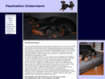 dobermann-welpen.info