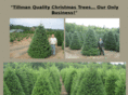 trees4u.net