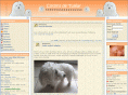 cotonsdetulear.fr