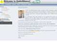 embrilliance.com