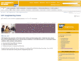 sap-imagineering.com