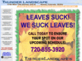 thunderlandscape.com