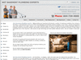 wetbasementplumbingexperts.com