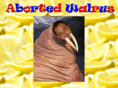 abortedwalrus.com