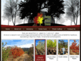 campcreektrees.com