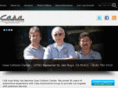 casaautobody.com