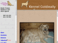 goldieally.com