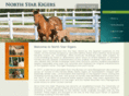 northstarkigers.com