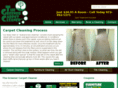 thegreencarpetcleaner.com