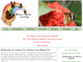 visiontoactioncoaching.com