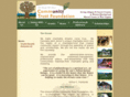 ctfinc.org