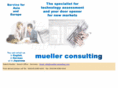 mueller-consulting.com