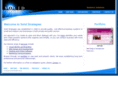 solidstrategies.com.au