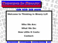 thinkinbinary.com