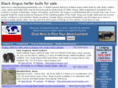 blackangusheiferbulls.com