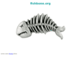 fishbone.org