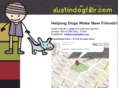 austindogfair.com