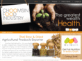 choomsin.com