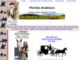 floridaarabians.com