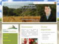 groupevisiongestion.com