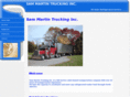 smtandslm.com