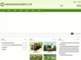 cchynt.com
