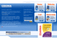 dealerka.com