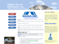 magnadryclean.com