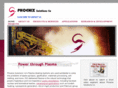 phoenixsolutionsco.com