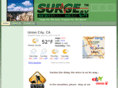 surgeex.com