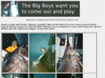 swordfishincharters.com
