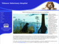 tidmorevet.com