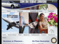 capeandislandslimo.com